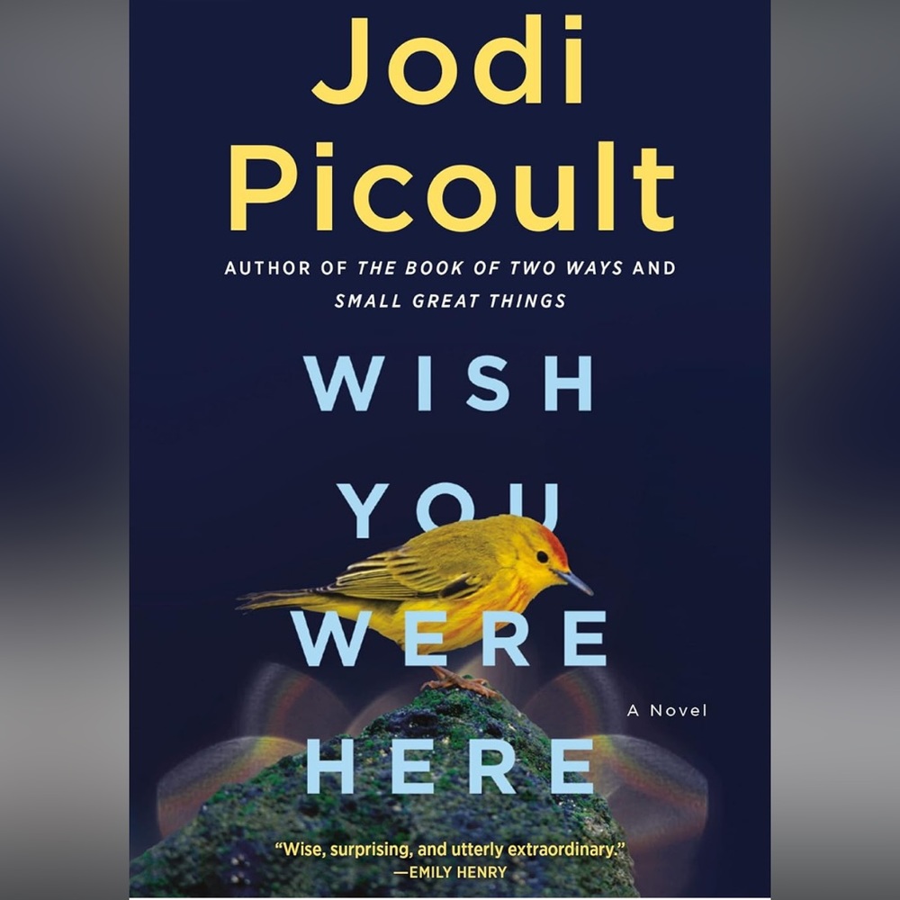 Jodi Picoult Wish You Were Here: A Novel